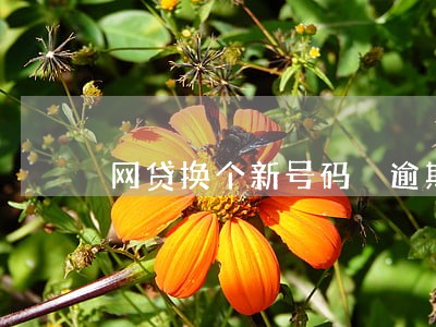 网贷换个新号码 逾期 网贷换个新号码 逾期